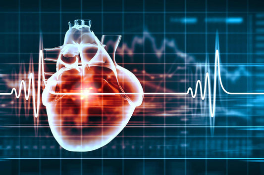 Verstehen Sie die Herzfrequenz: Warum sie wichtig ist